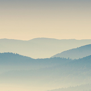 快速的充值网站求的短信轰炸在线