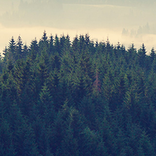 无限轰炸手机软件手机号下载