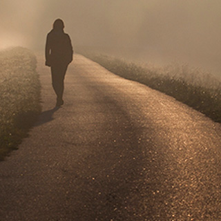 在线超级轰炸电话网页版