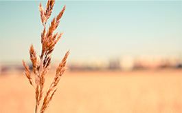 企业版全能的发电话软件app